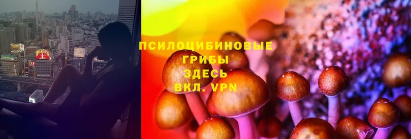 ОМГ ОМГ как зайти  Спасск-Рязанский  Галлюциногенные грибы MAGIC MUSHROOMS 